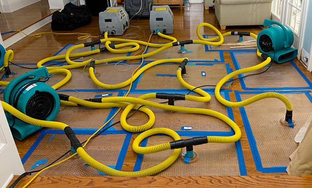 Professional Basement Flood Cleanup technician working in Glenside, PA